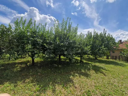 Vidovdanska 5 | 4zida.rs