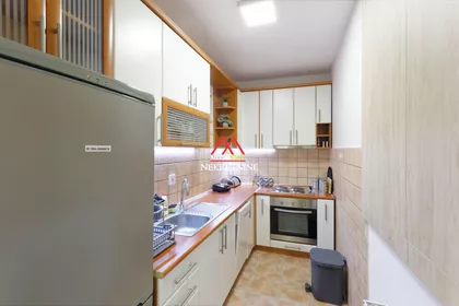 Danila Kiša | 4zida.rs