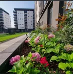 Novo Naselje, Gradske lokacije, Novi Sad | 4zida.rs | 4zida.rs