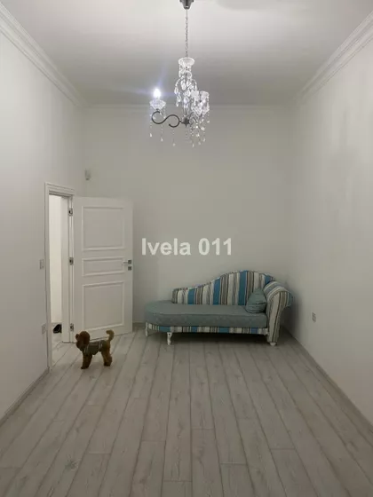 Karađorđeva | 4zida.rs