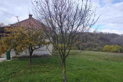 Barajevo | 4zida.rs
