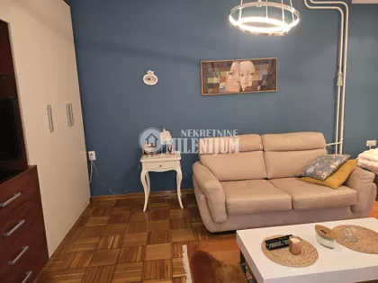 Dr Ivana Ribara | 4zida.rs