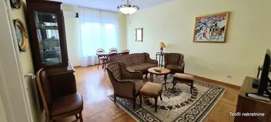Vojislava Ilića