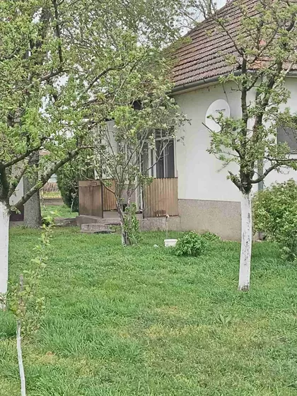 Bogdanović Jovana 9 | 4zida.rs