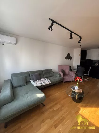 JERNEJA KOPITARA | 4zida.rs