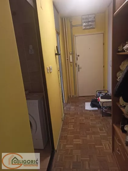 Dr Velimirovića | 4zida.rs