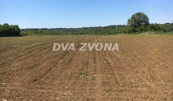 Plac | 4zida