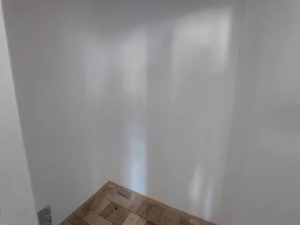 Miše Dimitrijevića | 4zida.rs