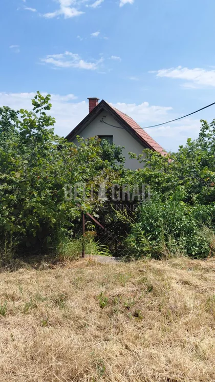 Potes Izvoz | 4zida.rs