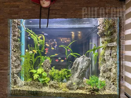 HRAM SVETOG SAVE | 4zida.rs