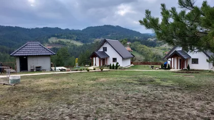 Sainovina | 4zida.rs