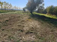 Plac | 4zida