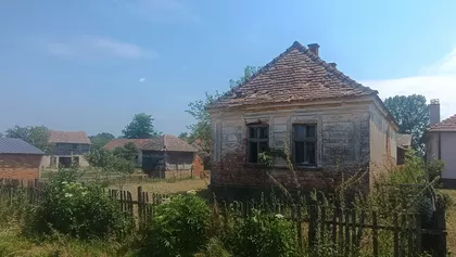 Koste Abraševića | 4zida.rs