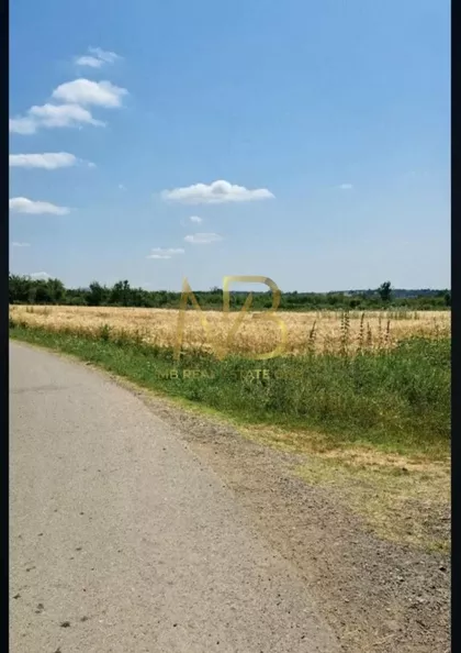 Kusanja | 4zida.rs