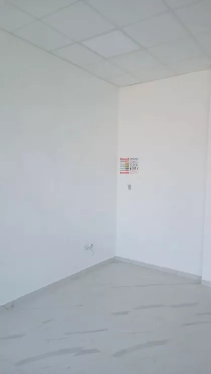 Vožda Karađorđa | 4zida.rs