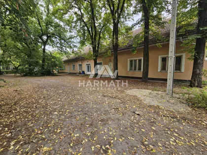 Zelengorska | 4zida.rs