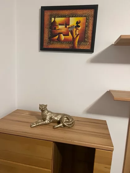 Dalmatinska | 4zida.rs