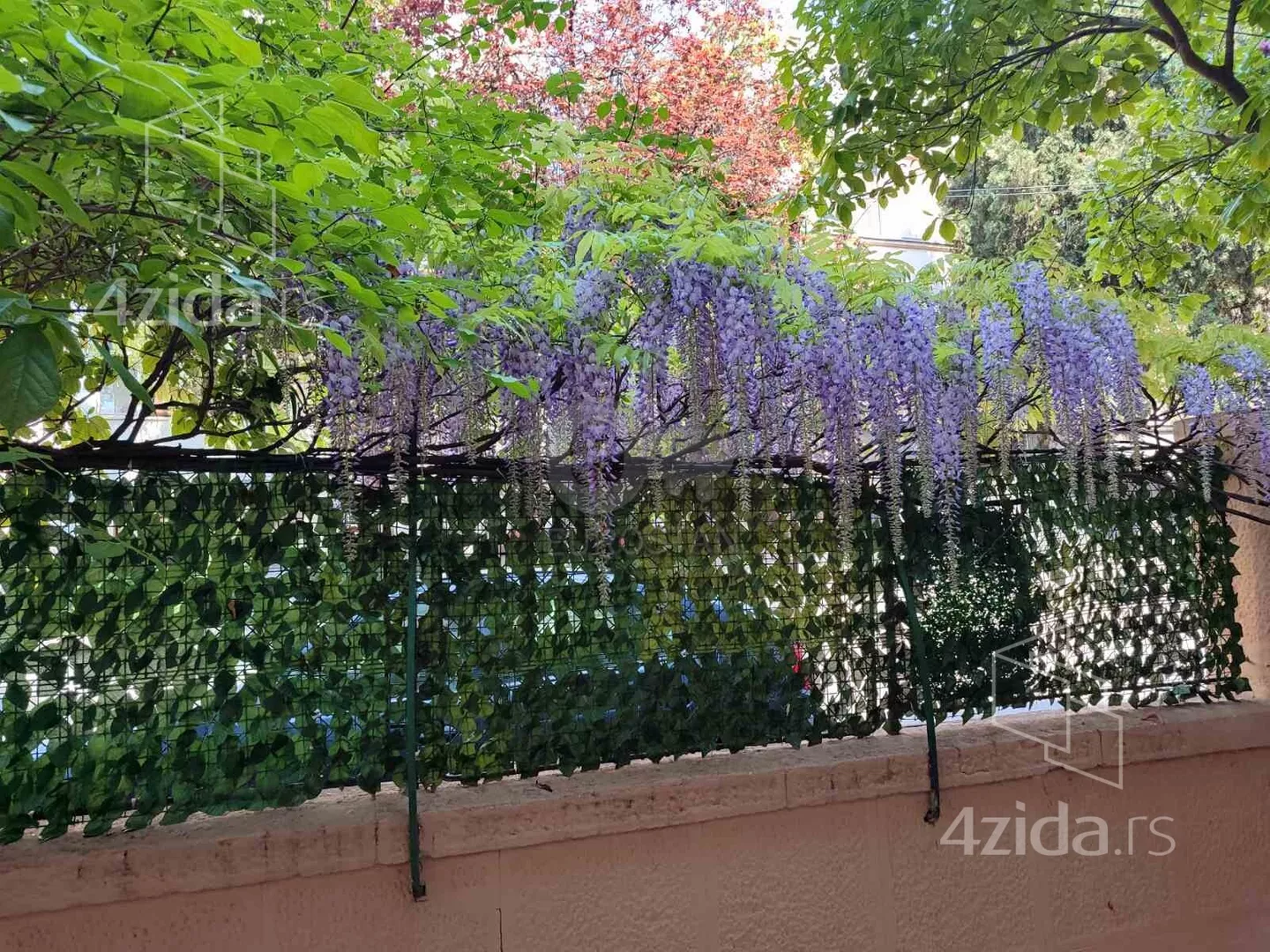 Garsonjera | 4zida