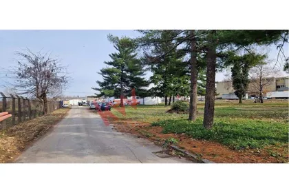 Milice Milojković | 4zida.rs