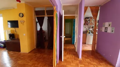 Dr Ivana Ribara | 4zida.rs