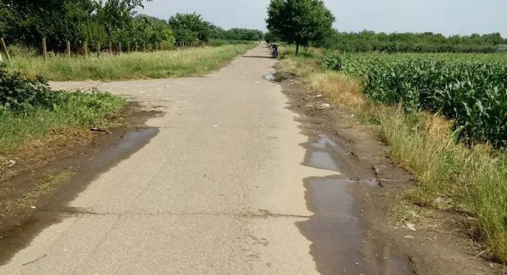 Poljoprivredno zemljište | 4zida
