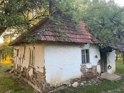 Carice Milice | 4zida.rs