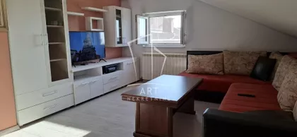 Dr Ivana Ribara | 4zida.rs