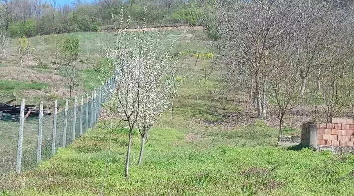 Poljoprivredno zemljište | 4zida