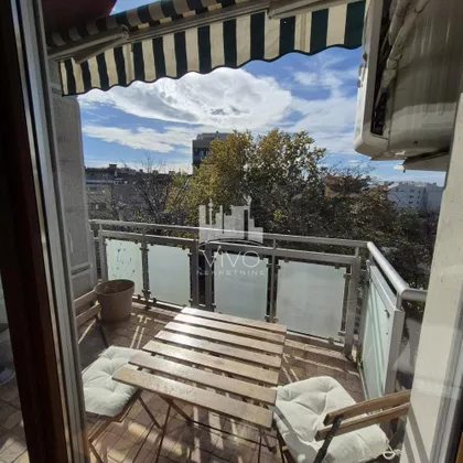 Vojvode Šupljikca | 4zida.rs