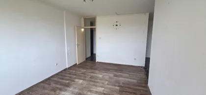 Radijalac | 4zida.rs