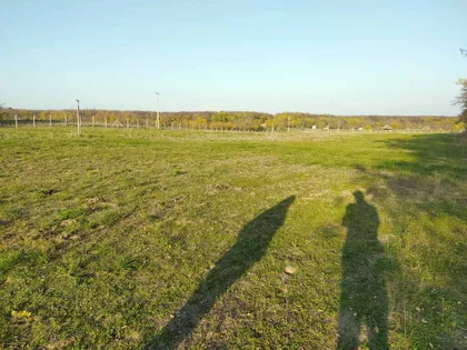 Peščarina | 4zida.rs