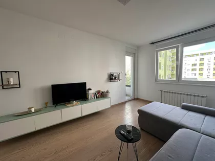 Zmaj Ognjena Vuka | 4zida.rs