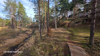 Boke Lome | 4zida.rs