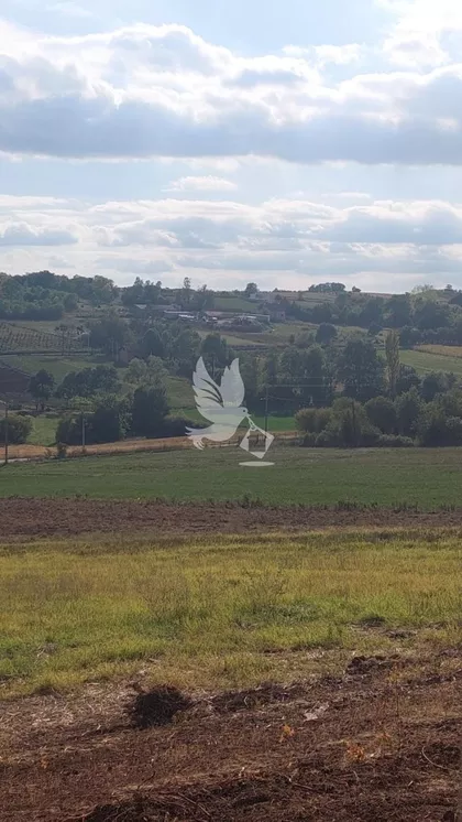 Koraćica | 4zida.rs