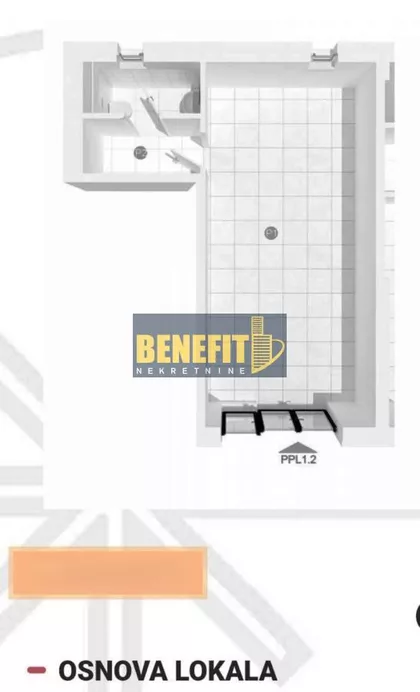 Cara Dušana | 4zida.rs