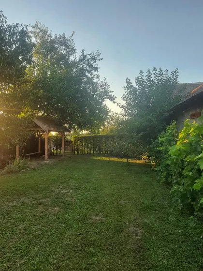 Šumska 28 | 4zida.rs