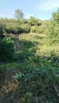 Poljoprivredno zemljište | 4zida