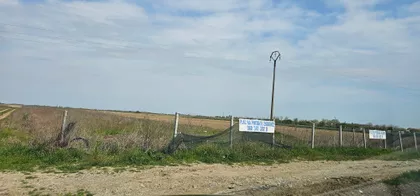 Carice Milice | 4zida.rs