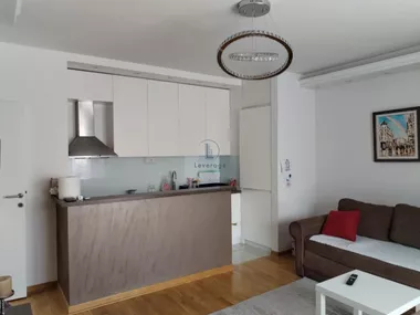Radoja Domanovića