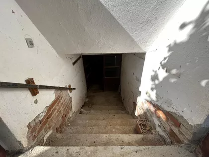 Dušana Srezojevića | 4zida.rs