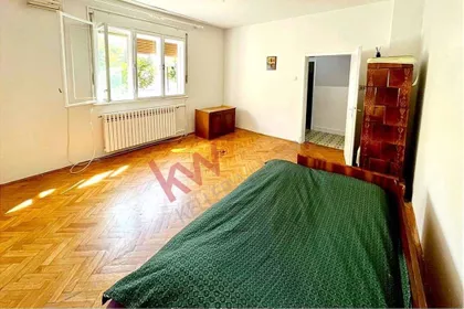 Petra Drapšina | 4zida.rs