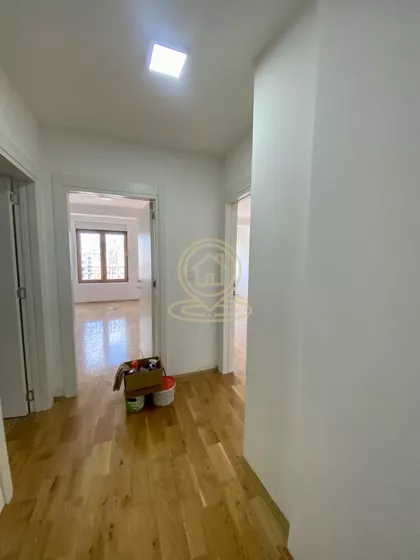 Crveni Pevac | 4zida.rs