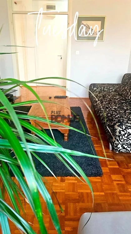 Vespučijeva | 4zida.rs