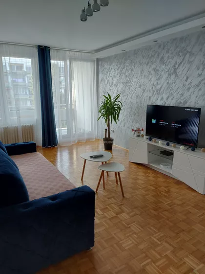 Dr Ivana Ribara 177 | 4zida.rs