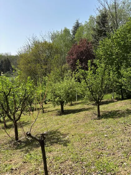 Fruškogorska | 4zida.rs