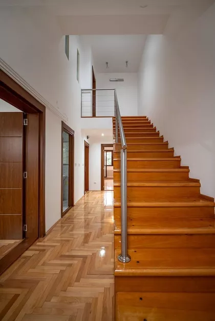 Ulofa Palmea | 4zida.rs