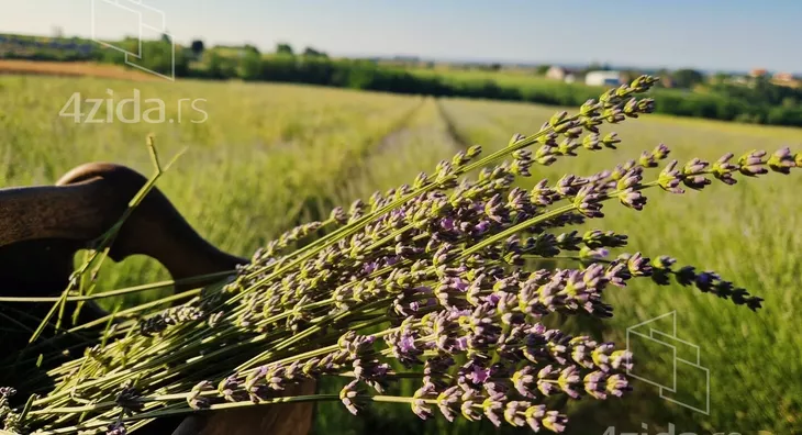 Poljoprivredno zemljište | 4zida
