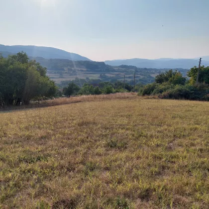 Bore Markovića | 4zida.rs