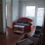 Novi Sad, Gradske lokacije, Rotkvarija, Socijalno | 4zida.rs | 4zida.rs