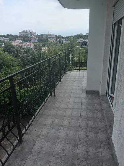 Slavka Ćuruvije | 4zida.rs